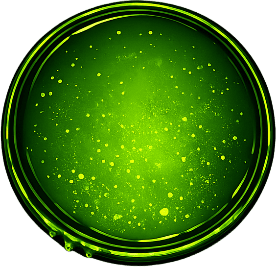 Poison Orb